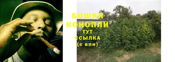 соль ск Каменка