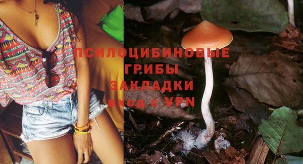 дурь Карталы