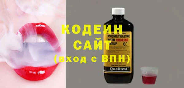 стаф Касимов
