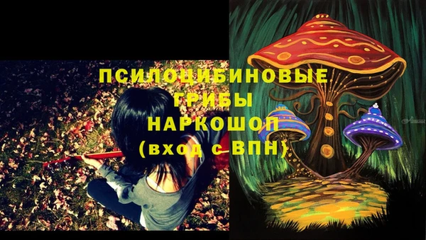 стафф Каменск-Шахтинский