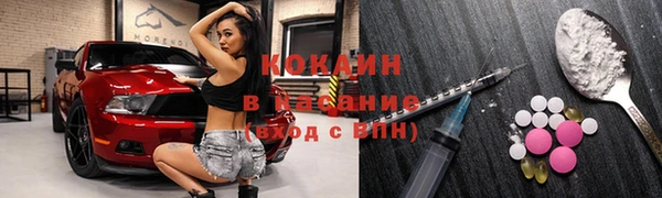 стаф Касимов