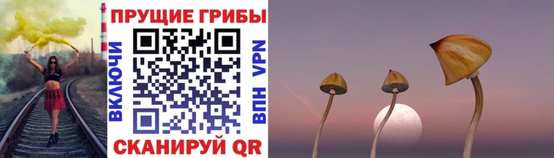 Галлюциногенные грибы Magic Shrooms  Купить закладки  Исилькуль 